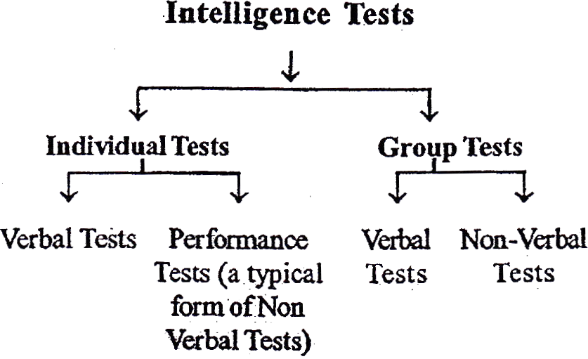 critical-perspective-of-the-construct-of-intelligence-previous-papers