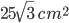  25\sqrt{3}\: cm^{2}